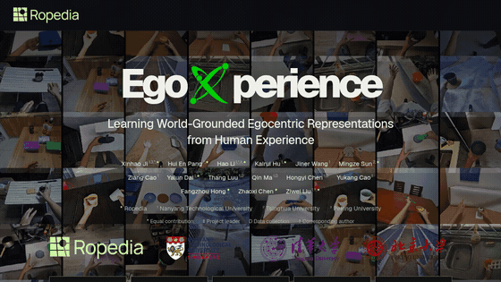 EgoXperience project homepage preview